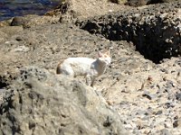 Photo 015
